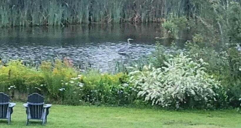 Clinton Pond Bed And Breakfast