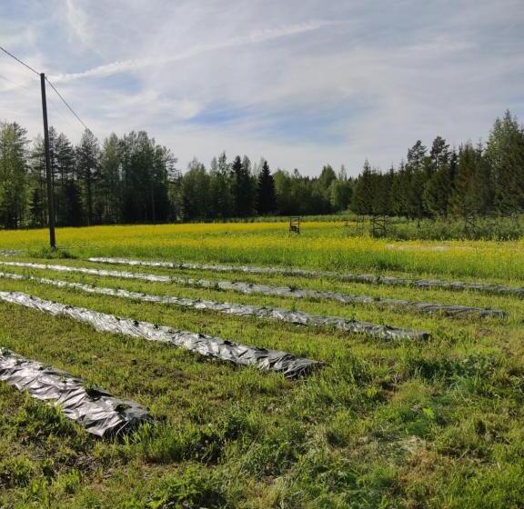 هتل Haaran Torppa