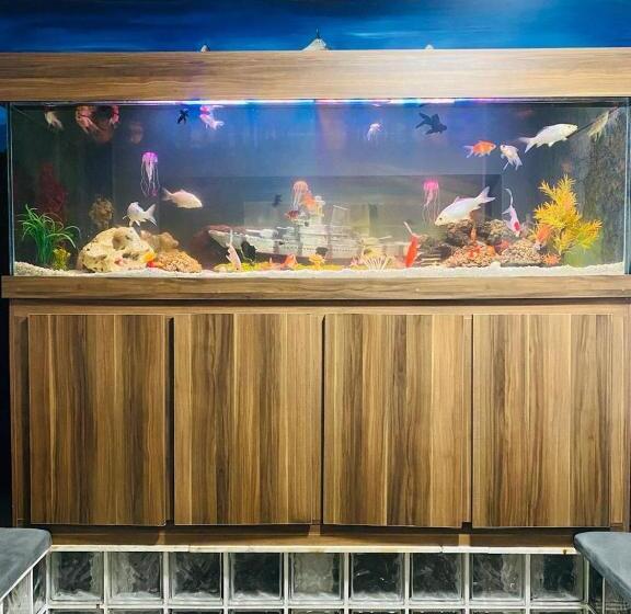 فندق Hostel Anprado 5