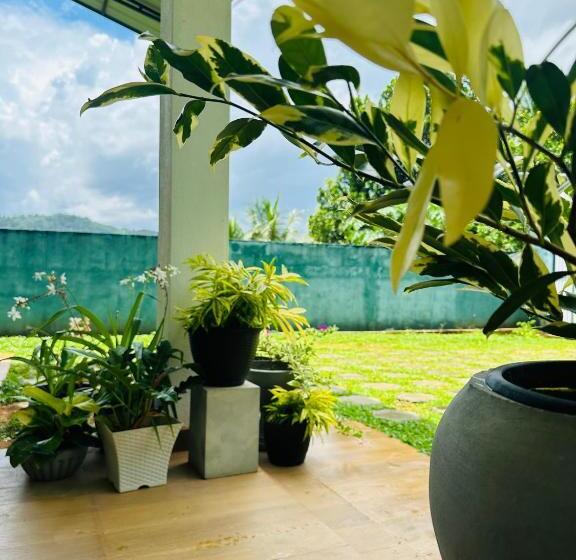 膳宿费 D Studio Villa