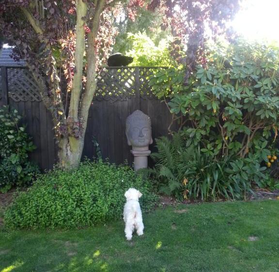 تختخواب و صبحانه Berni S Boutique Bnb