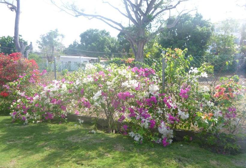 Bed and Breakfast La Perla De Farallon