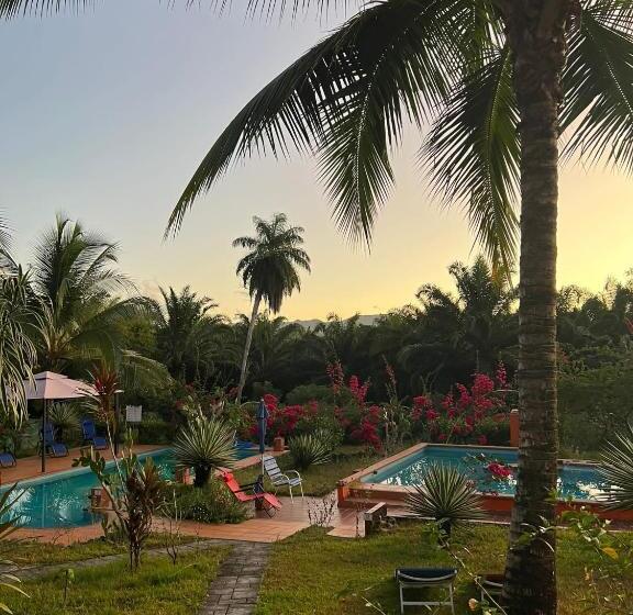تختخواب و صبحانه Residence Las Lajas