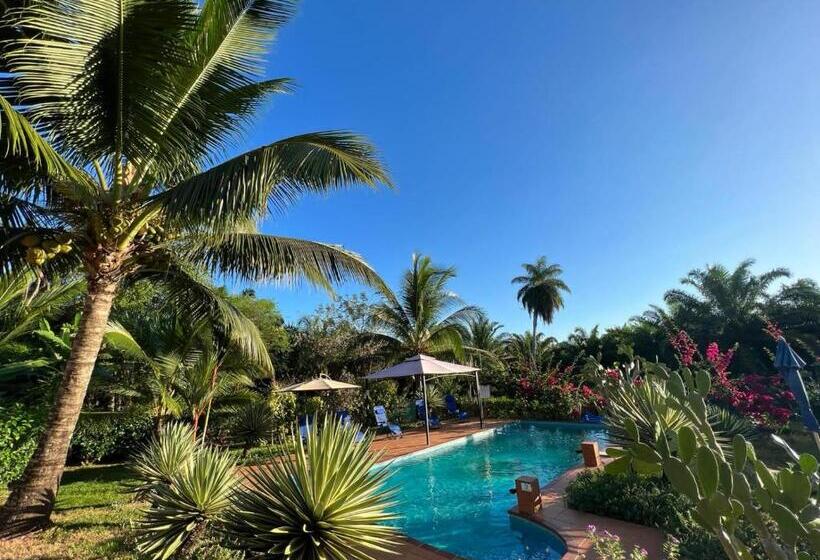 تختخواب و صبحانه Residence Las Lajas