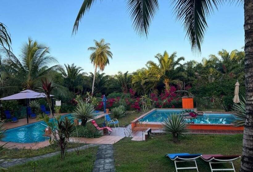 تختخواب و صبحانه Residence Las Lajas