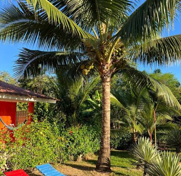 تختخواب و صبحانه Residence Las Lajas