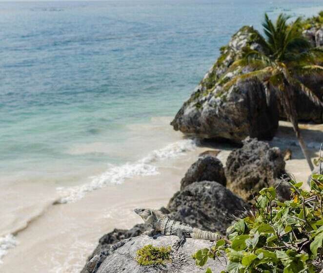 Fotos del hotel Encantada Tulum:  27