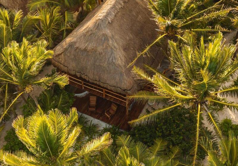 Fotos del hotel Encantada Tulum:  9