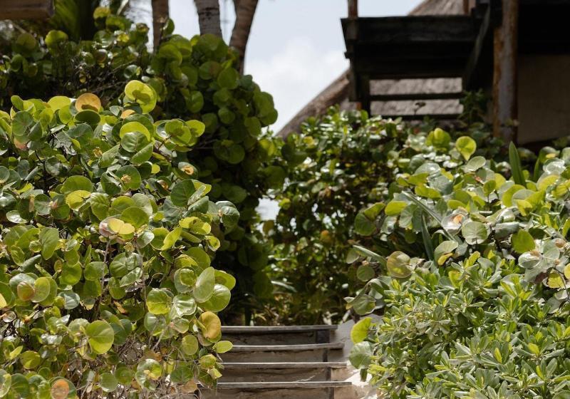 Fotos del hotel Encantada Tulum:  8