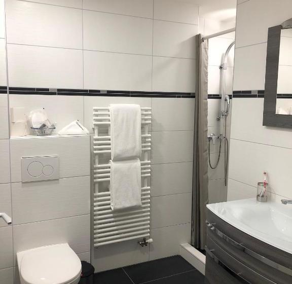 בית מלון כפרי Hôtel Du Chasseur