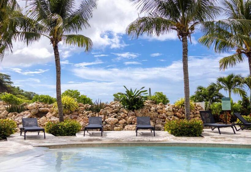 هتل The Reef - Blue Bay Golf & Beach Resort