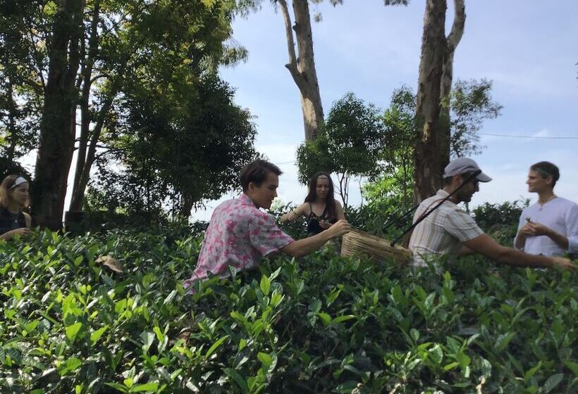 فندق The Backyard Blangoda