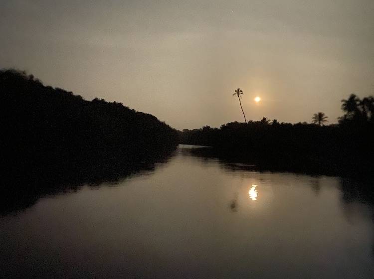 펜션 Coconut Island Cabanas