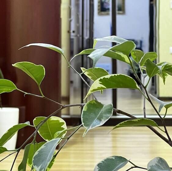 Hayot Hostel