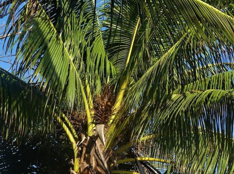 هتل Fumba Beach Lodge