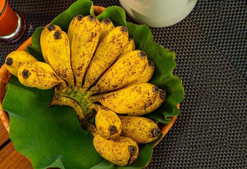 Отель Leopard Reach Yala By Seven Angels