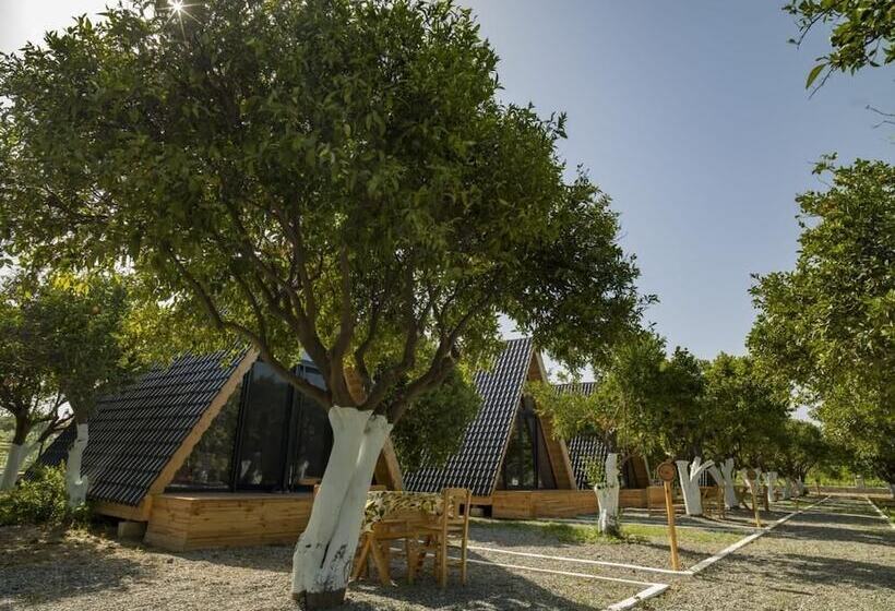 فندق Limon Datca