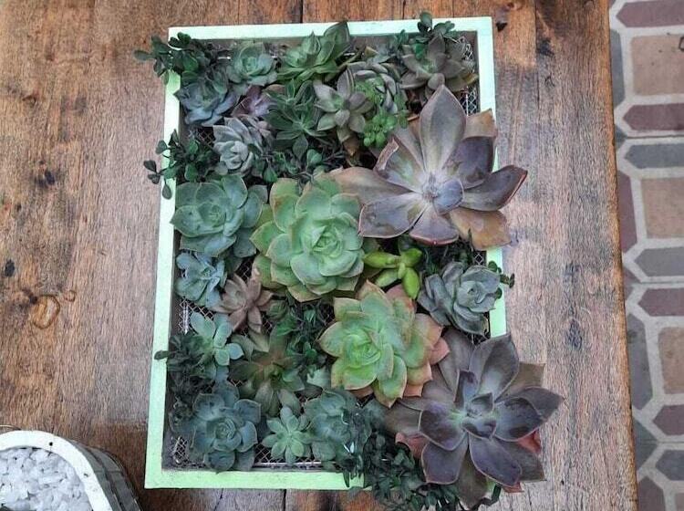 هتل Posada Santa Elena