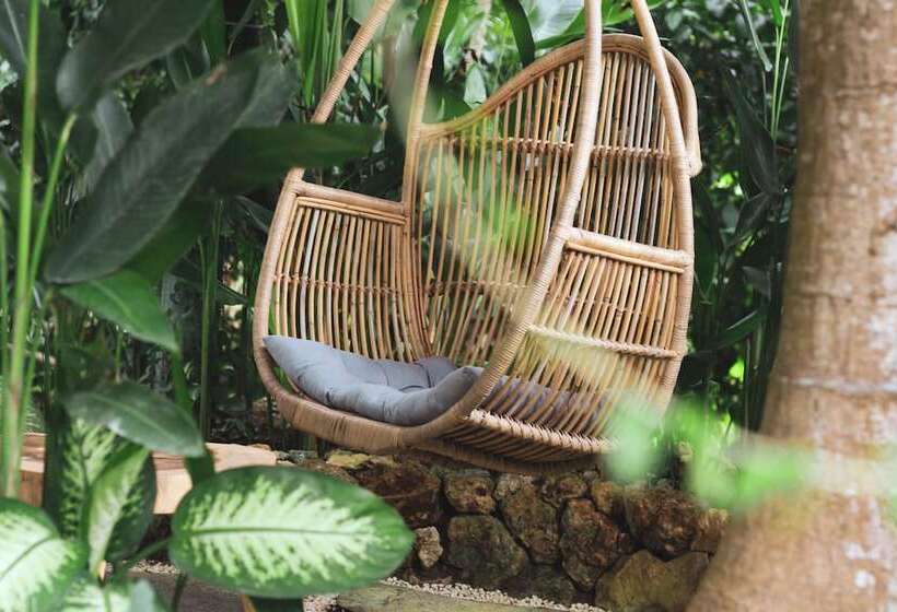ホテル Roots Tree House