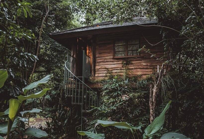 ホテル Roots Tree House