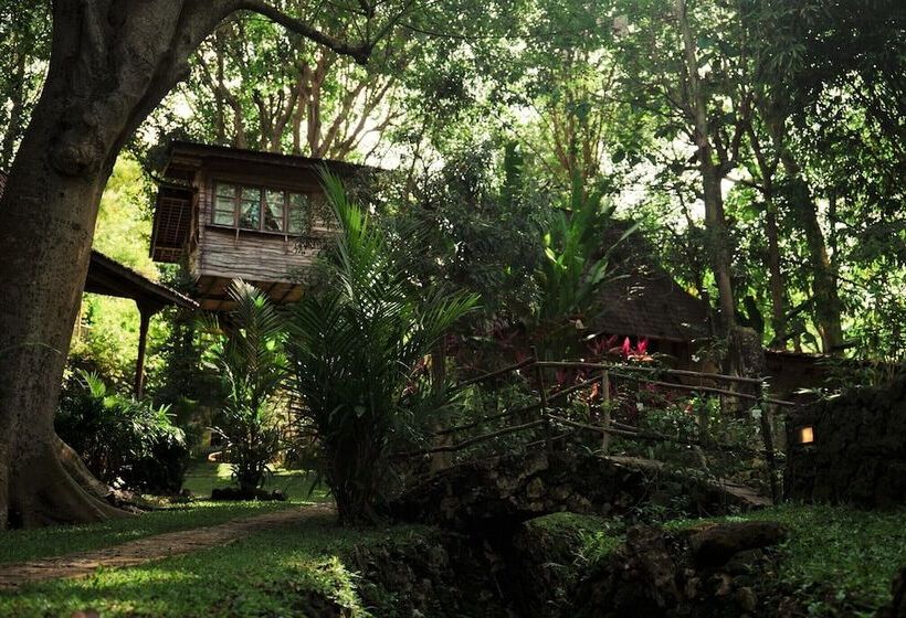 ホテル Roots Tree House