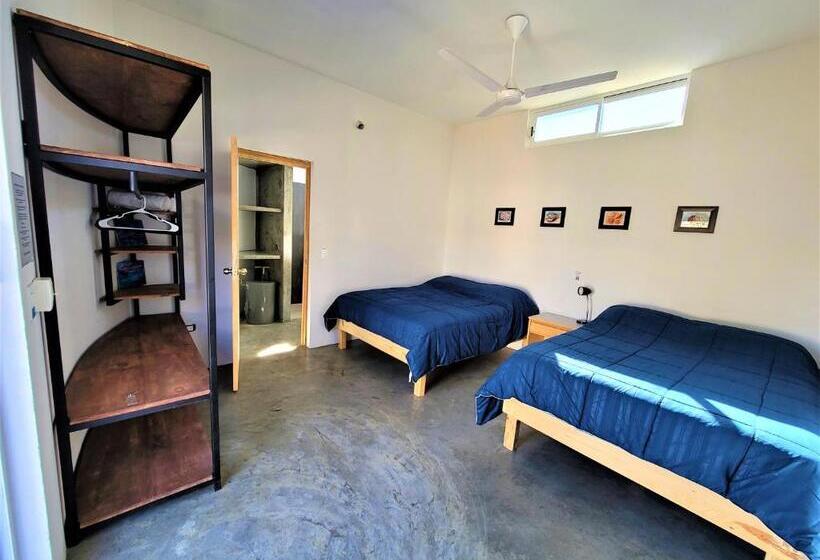 La Ventana Hostel