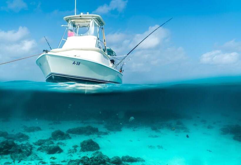 اقامتگاه Oceania 452