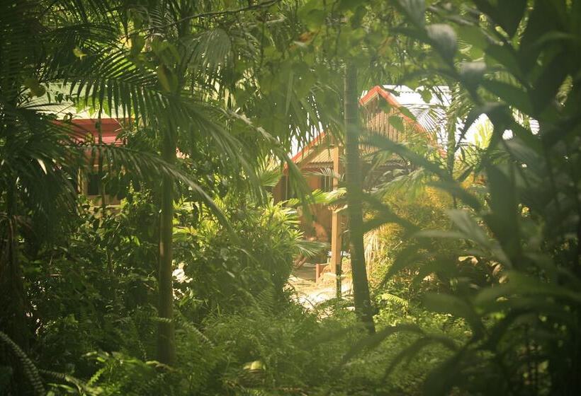 Bed and Breakfast Tropical Bliss Bnb