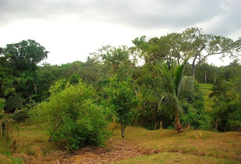 تختخواب و صبحانه Hostal Trujillo