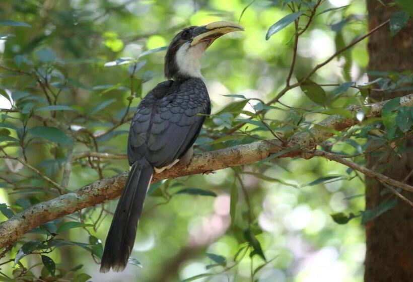 هتل Hornbill Forest Habarana