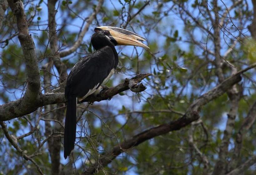 هتل Hornbill Forest Habarana