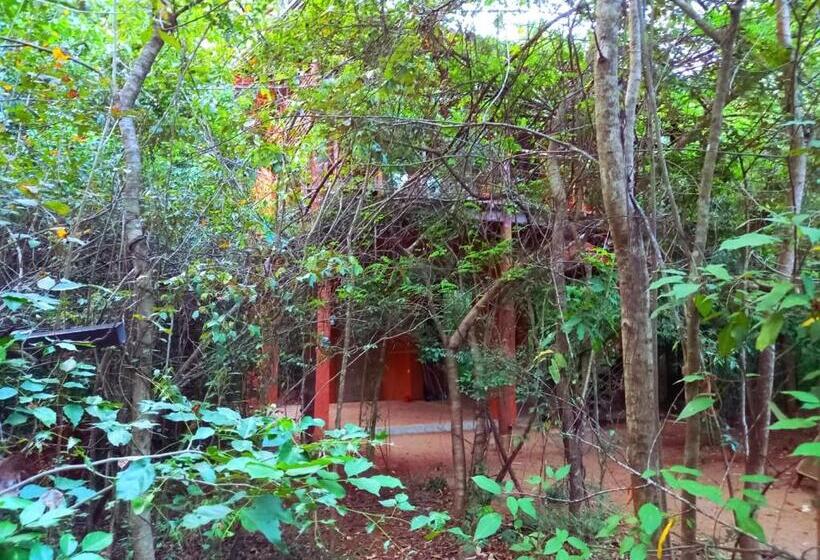 هتل Hornbill Forest Habarana