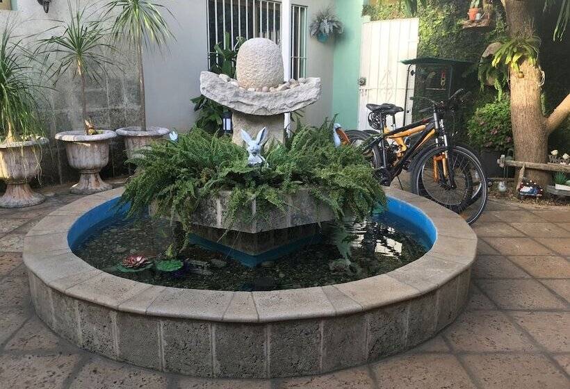 Casa Pedrito Hostal