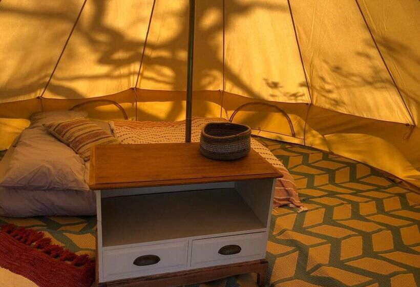 Elm   Bell Tent, Anglesey, North Wales