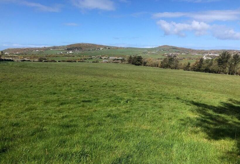 Elm   Bell Tent, Anglesey, North Wales