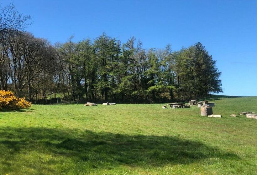 Elm Bell Tent, Anglesey, North Wales