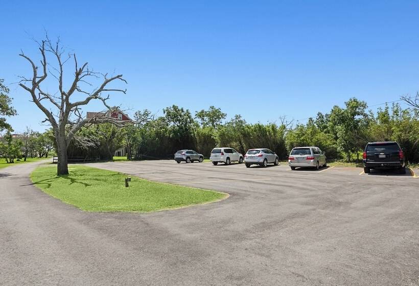 Elsa S Place Bed And Breakfast