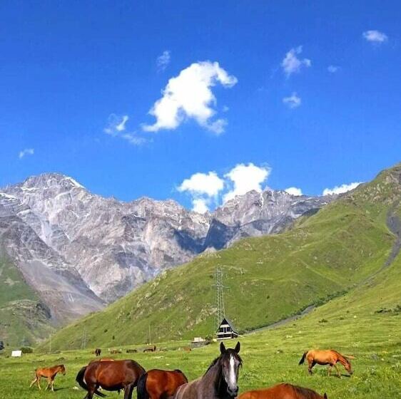 Mountain Flower Cottage