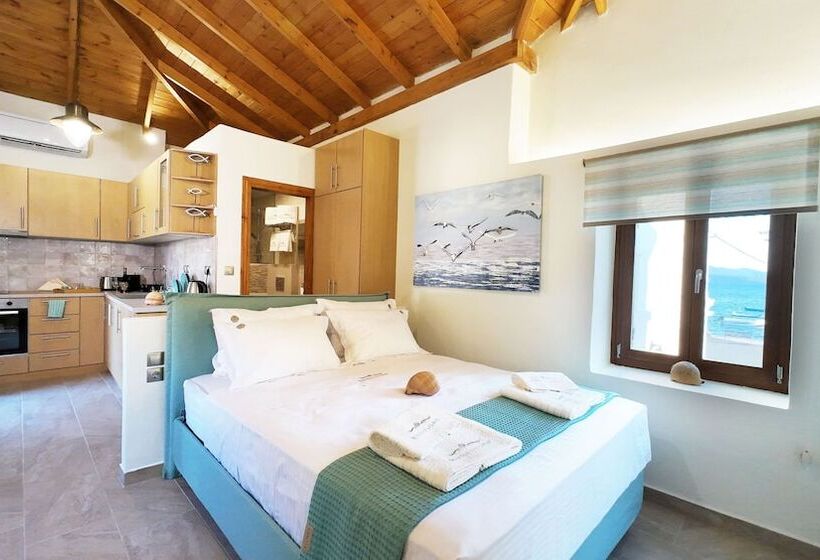 פנסיון Myrsini S Studios In Chorto Pelion