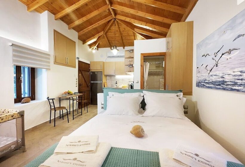 פנסיון Myrsini S Studios In Chorto Pelion