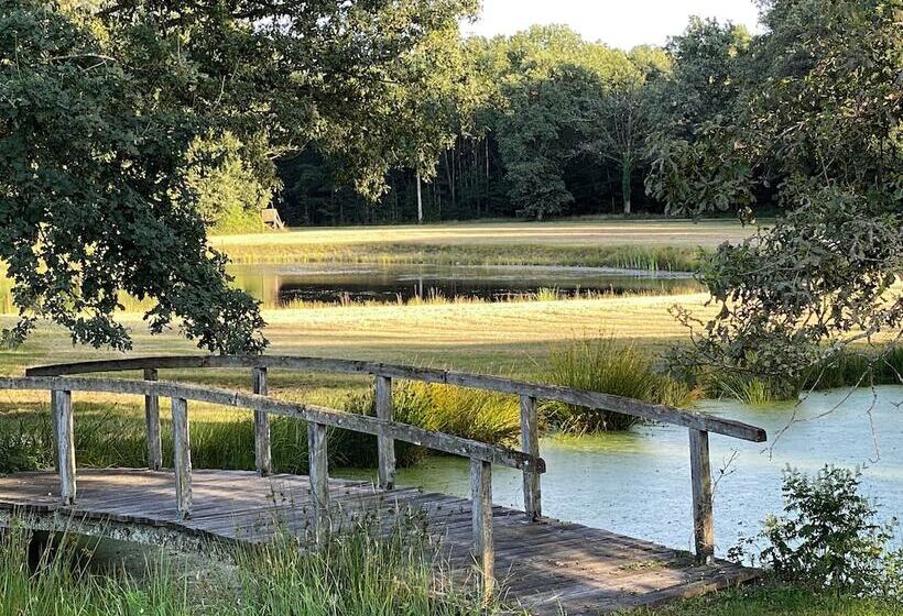 فندق Les Hayes En Sologne