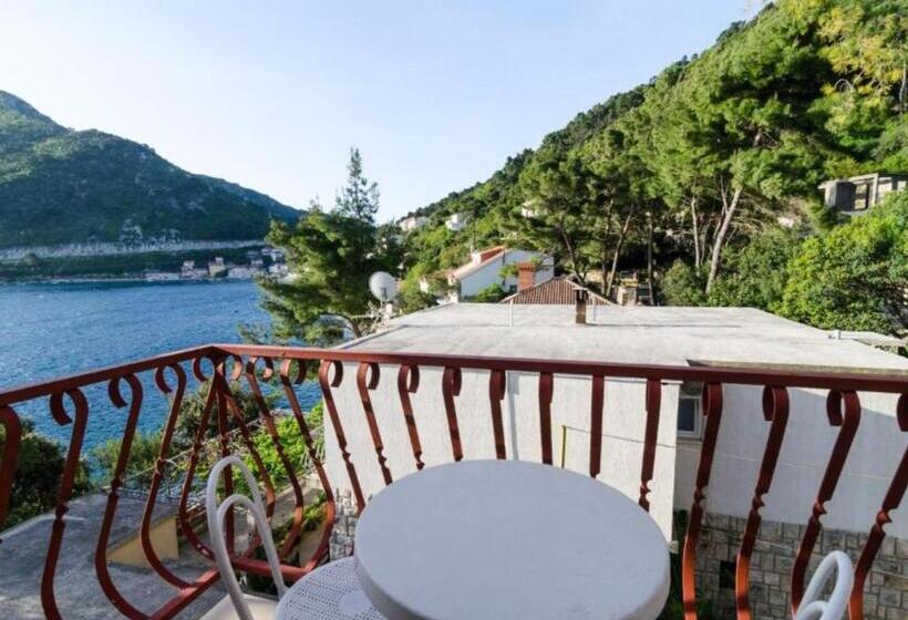 פנסיון Guest House Sobra 38