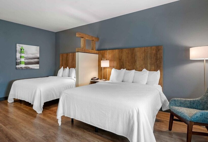 酒店 Extended Stay America Premier Suites   Harrisonburg