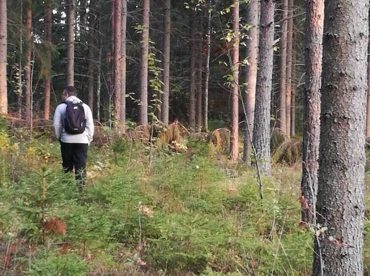 هاستل Immalanjärvi