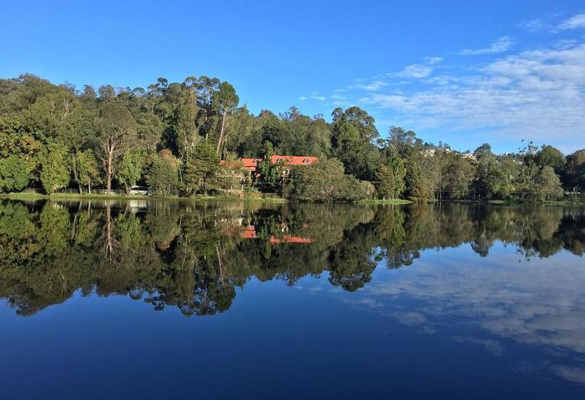 هاستل Jc Woodville Manor