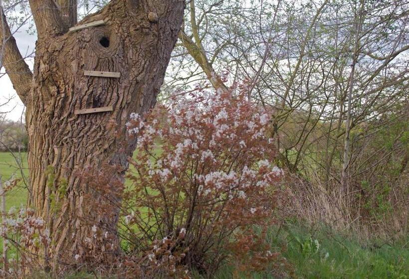 ベッドアンドブレックファースト Cuisinerie Mensinge With Dreams