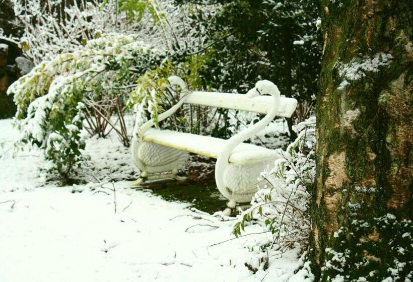 تختخواب و صبحانه Logement Swaenenvecht