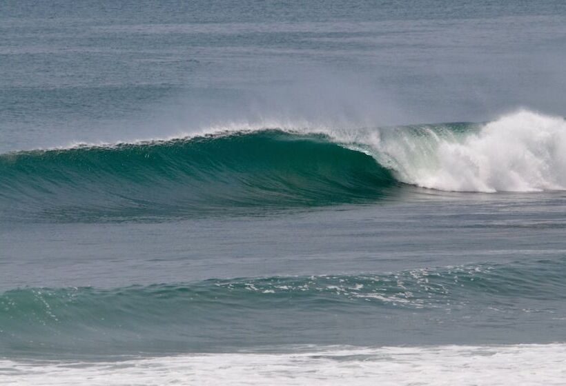 Buena Onda Beach Resort