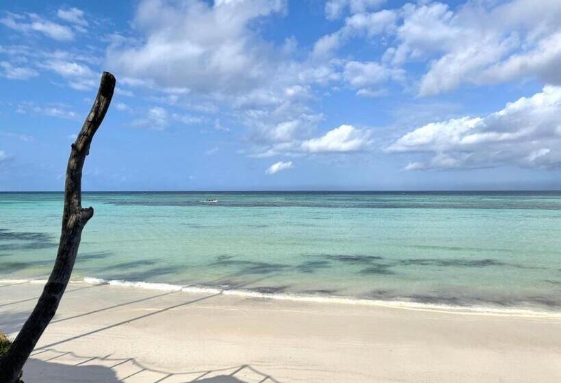 هتل Aya Beach Resort