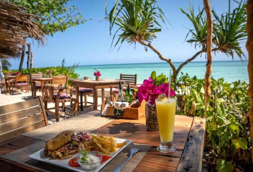 هتل Aya Beach Resort